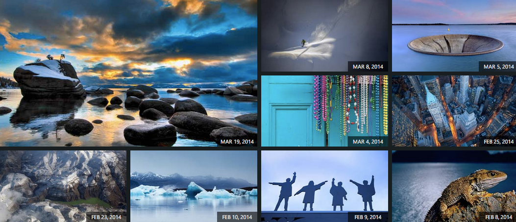 Bing compie 5 anni e festeggia con le foto