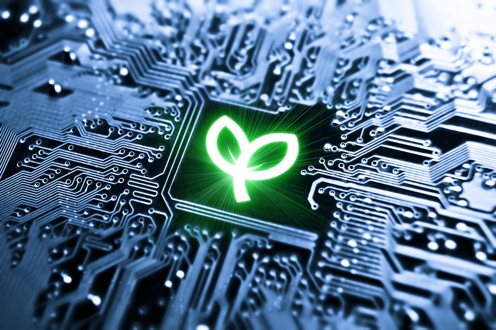 Green economy: le aziende ‘verdi’ innovano di più