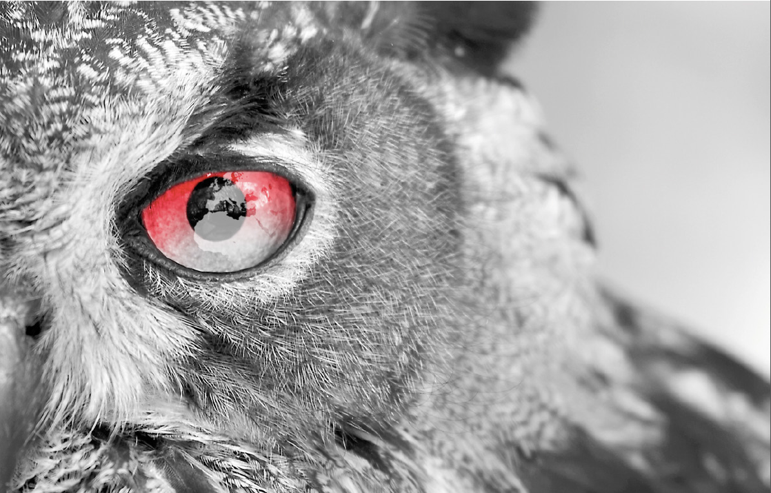 Il settore ICT in Italia cresce lievemente (+0,6%), stabili le insolvenze