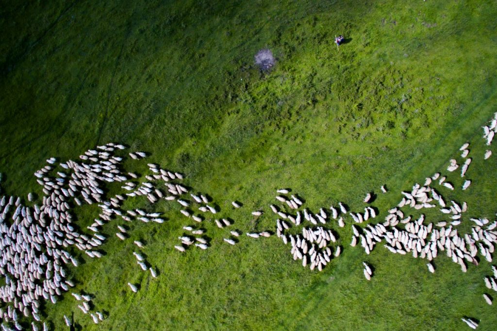 Dronestragem 2016