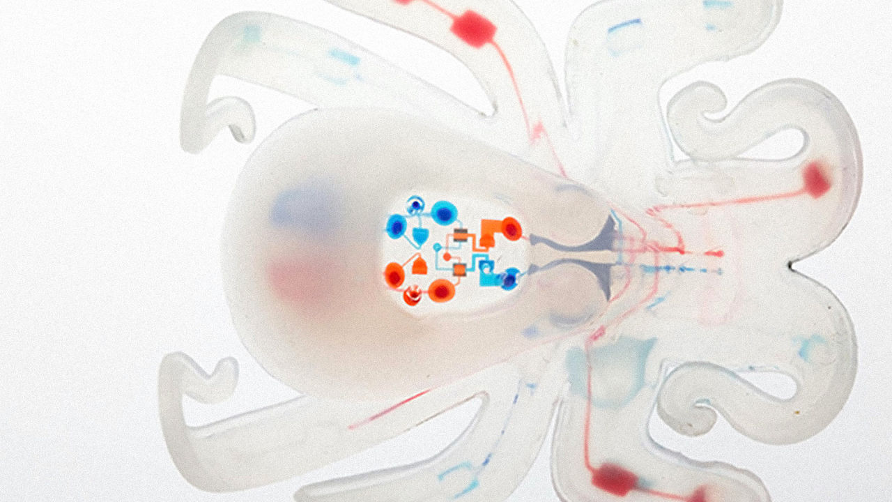 Octobot, il robot stampato in 3D che va a reazioni chimiche