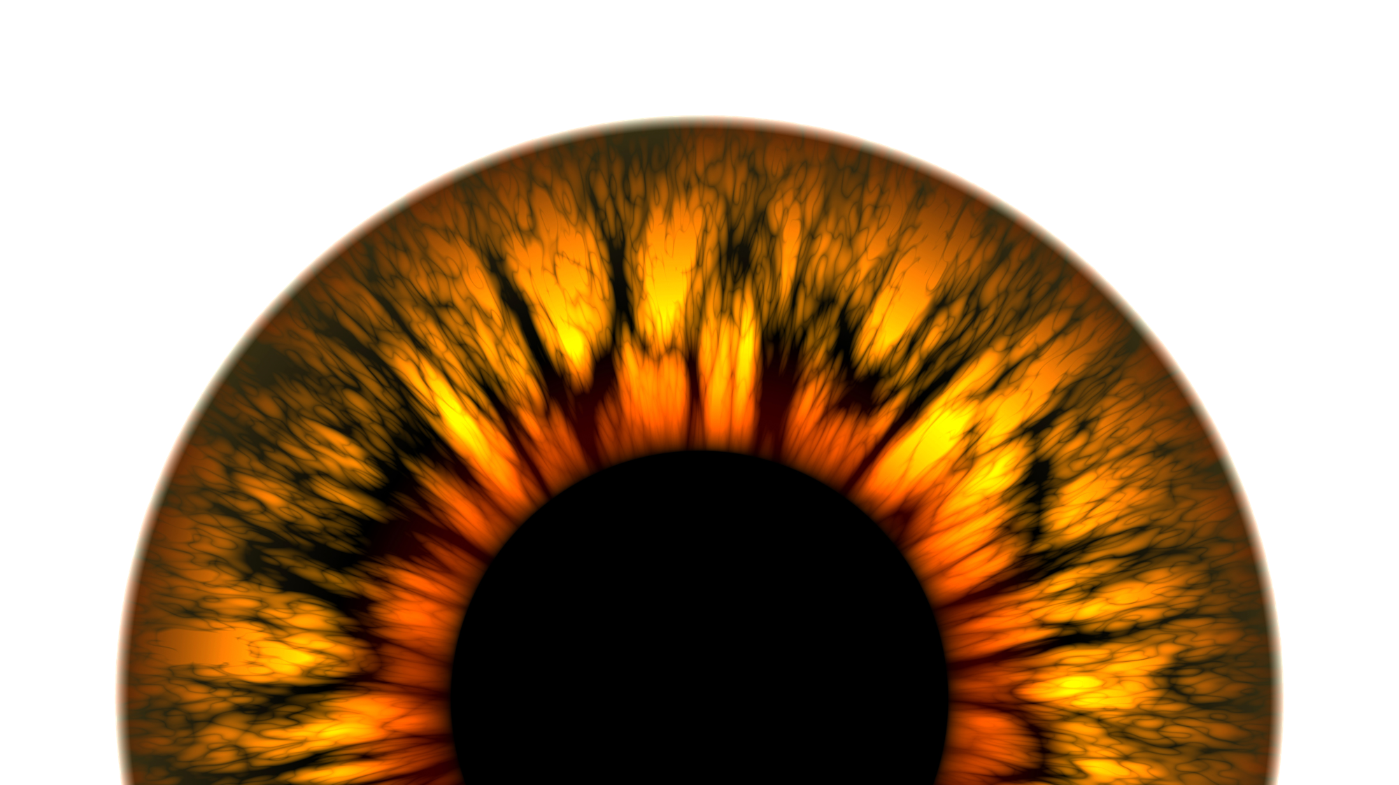 Biometria: l’origine della scansione dell’iride