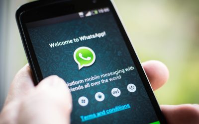 WhatsApp for business: al via i test per nuove funzioni