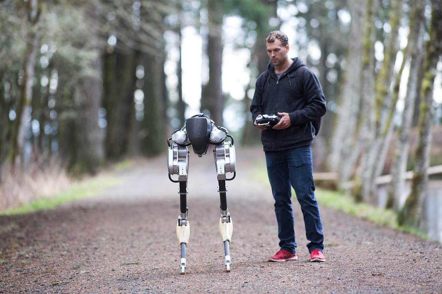 I robot mostri che sanno fare cose straordinarie