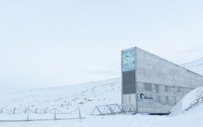 Arctic World Archive: un caveau alle Svalbard protegge i dati