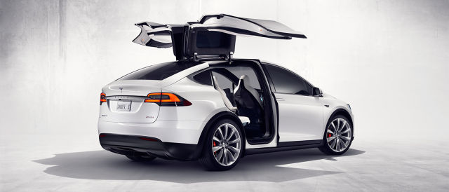 elon musk tesla model y