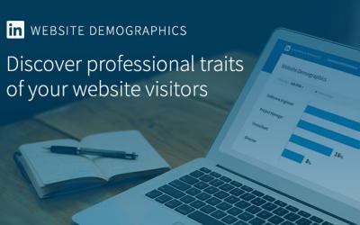 Scopri chi visita il tuo sito web con LinkedIn Website Demographics