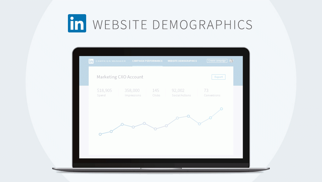 LinkedIn Website Demographics 