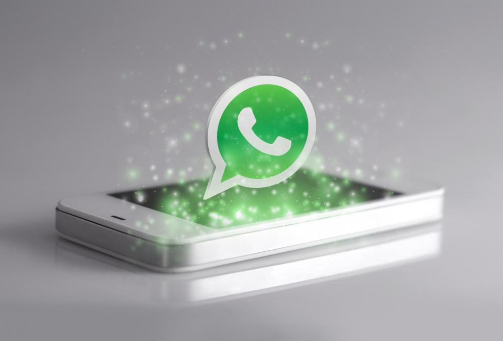 whatsapp business app