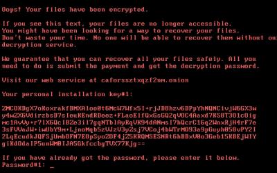 Bad Rabbit : come funziona il nuovo ransomware che fa tremare l’Europa