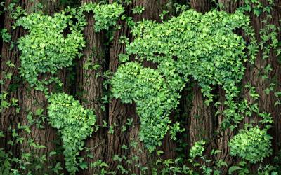 Aziende green italiane: sono 355mila ed esportano di più