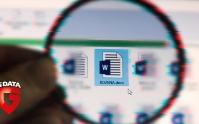 Rozena il malware “fileless”: cos’è e come si previene