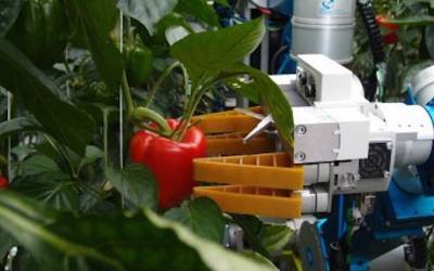 Robot Agricoli: il farm robot per l’agricoltura automatizzata