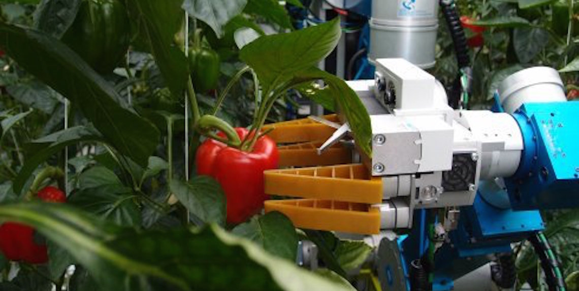 Robot Agricoli: il farm robot per l’agricoltura automatizzata