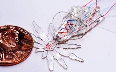 Il robot ragno dell’Italiano Tommaso Ranzani che cambia la microchirurgia