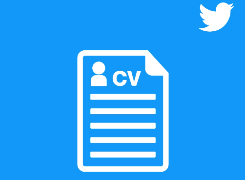 cv social twitter posti di lavoro