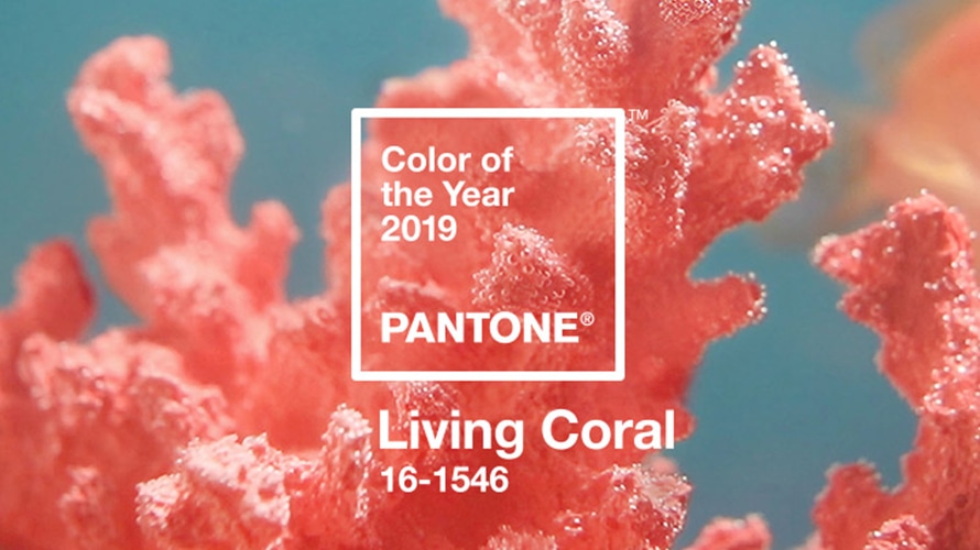 Colore Pantone dell'anno 2019 Living Coral