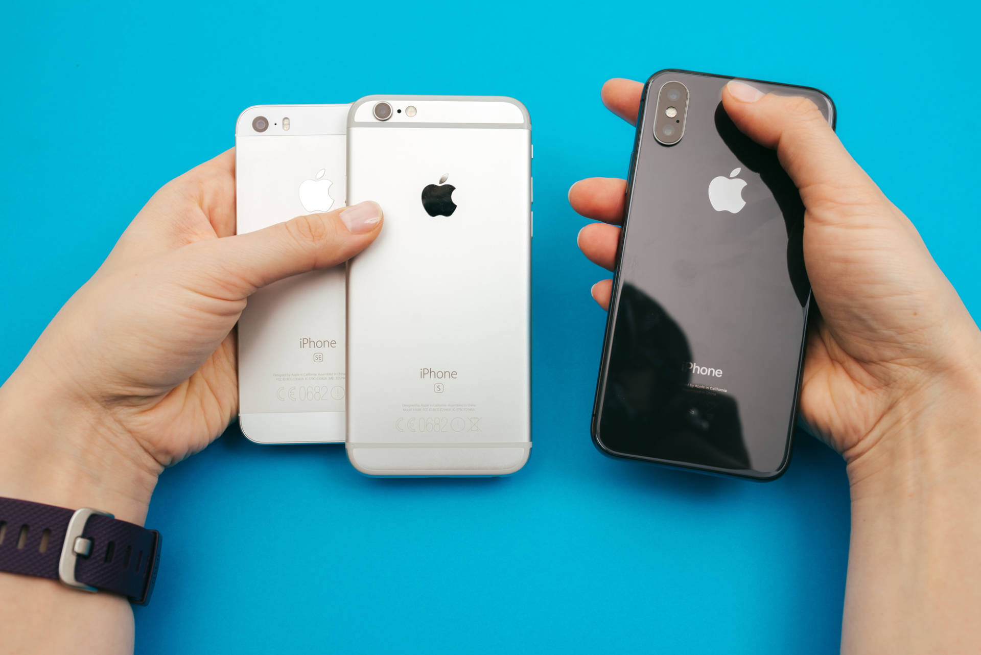 iPhone: tutte le novità del 2019