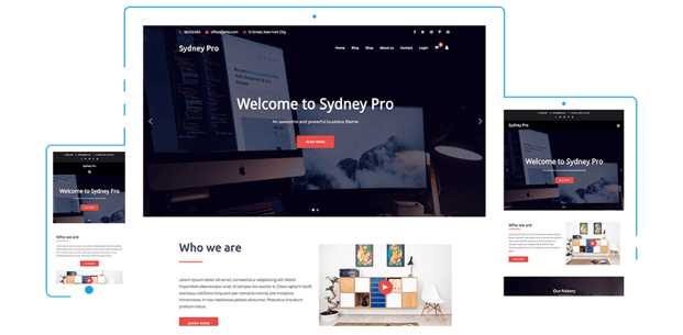 Migliori Temi WordPress: Sydney