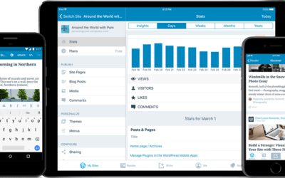 WordPress 5.2: “Release Candidate”, sei curioso?