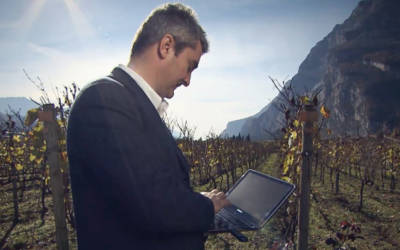 Vino e tecnologia: tra memoria e innovazione