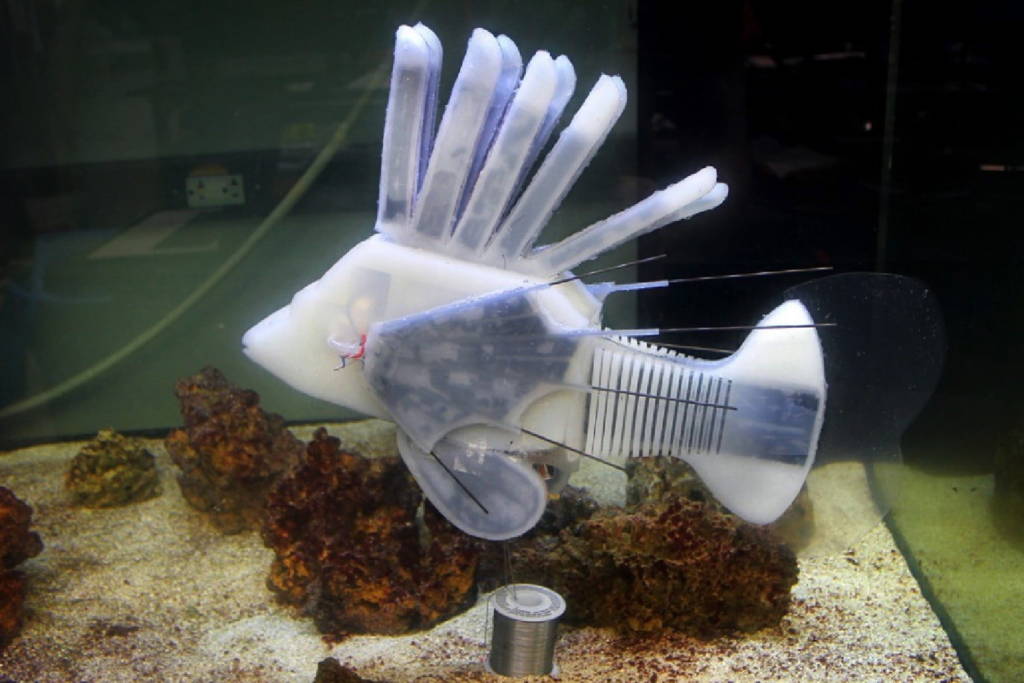 Pesce Robot