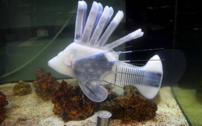 Il pesce robot alimentato da sangue hi-tech