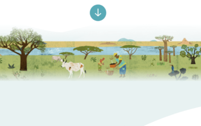 Ecosia, come funziona il motore di ricerca ecologico
