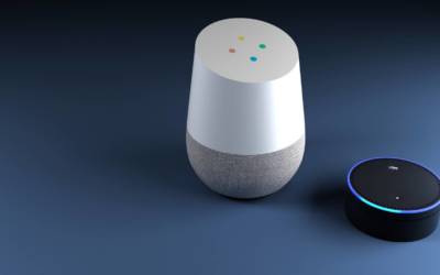 Google e Amazon: smart speaker possono diventare spie