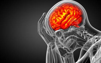 Paura di morire? Il nostro cervello ci protegge