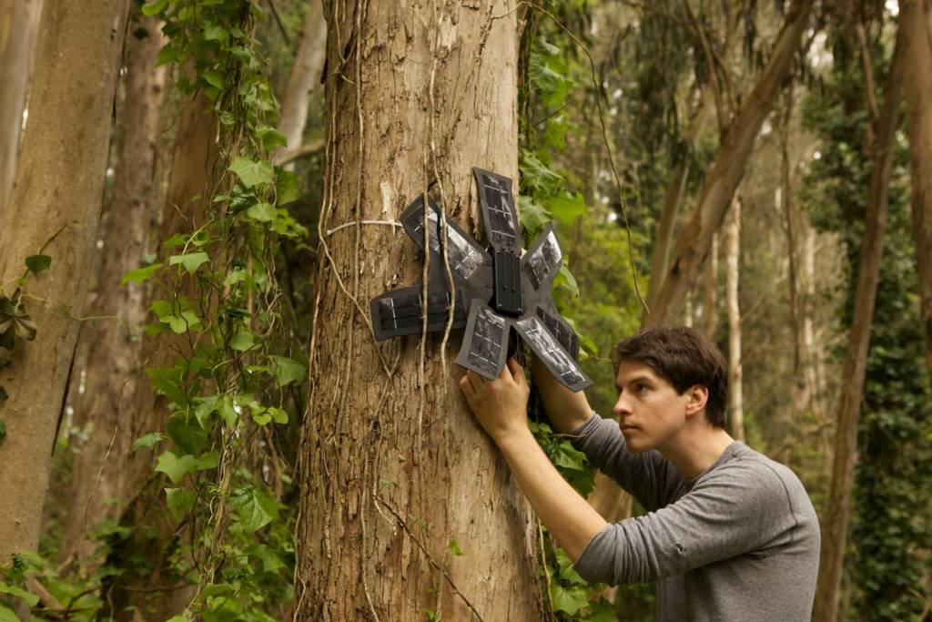 vecchi Cellulari proteggono alberi Rainforest Connection