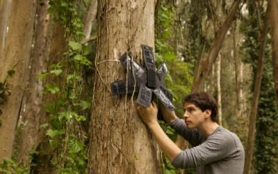 I vecchi cellulari (e l’AI) proteggono gli alberi: Rainforest Connection
