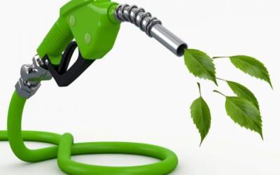 Carburante dai rifiuti: biometano il petrolio del futuro