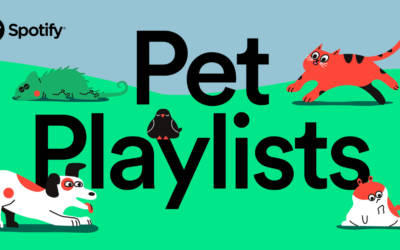 Playlist per animali domestici, l’idea di Spotify per una compagnia musicale