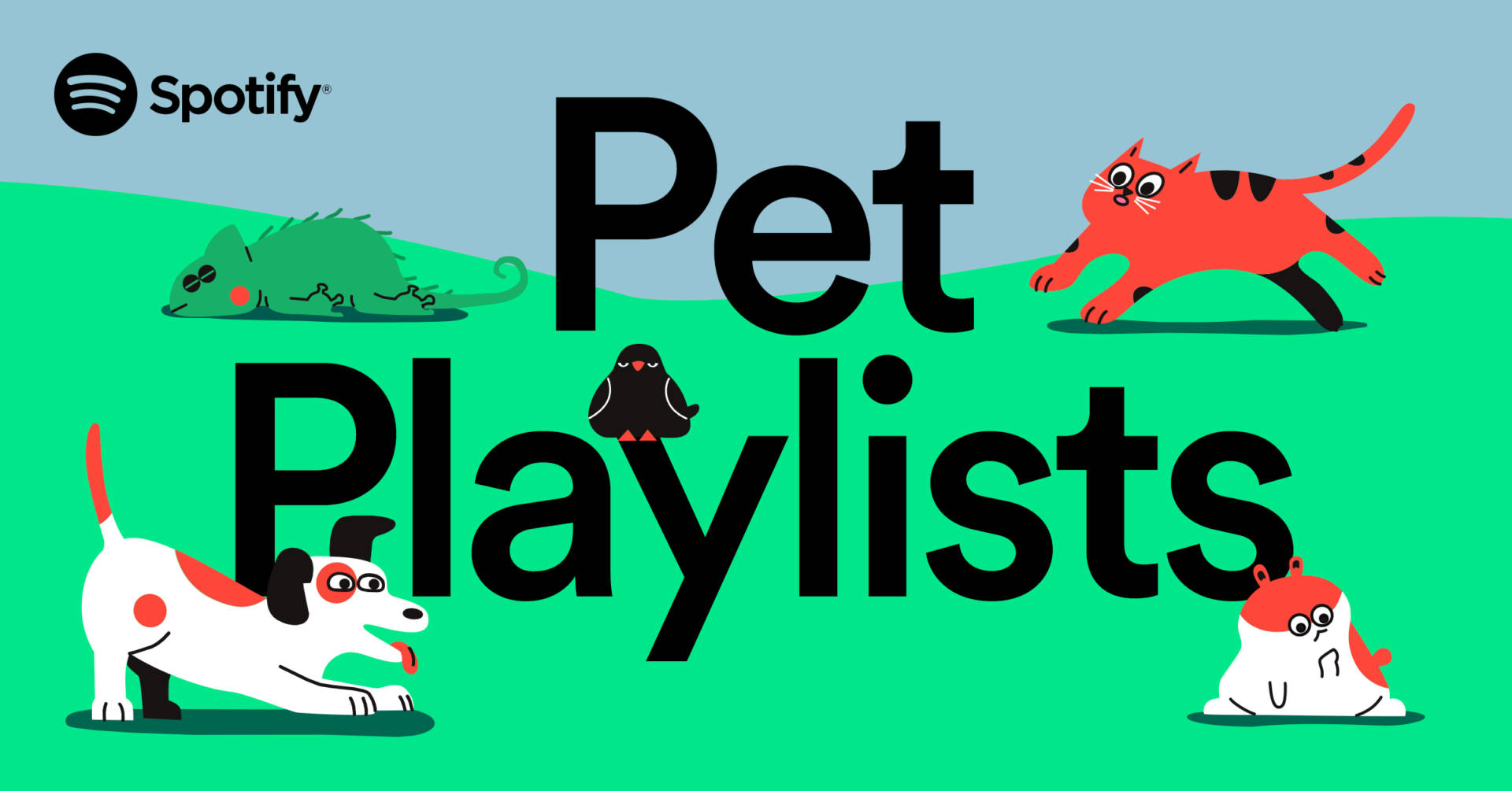 Playlist per animali domestici, l’idea di Spotify per una compagnia musicale