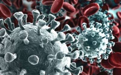 Morte per coronavirus: Harvard afferma una correlazione tra decessi e inquinamento