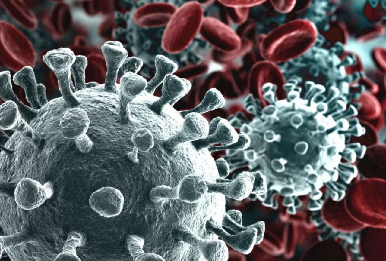 Morte per coronavirus: Harvard afferma una correlazione tra decessi e inquinamento