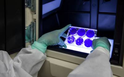 Coronavirus, fake news e bufale: a cosa non bisogna credere