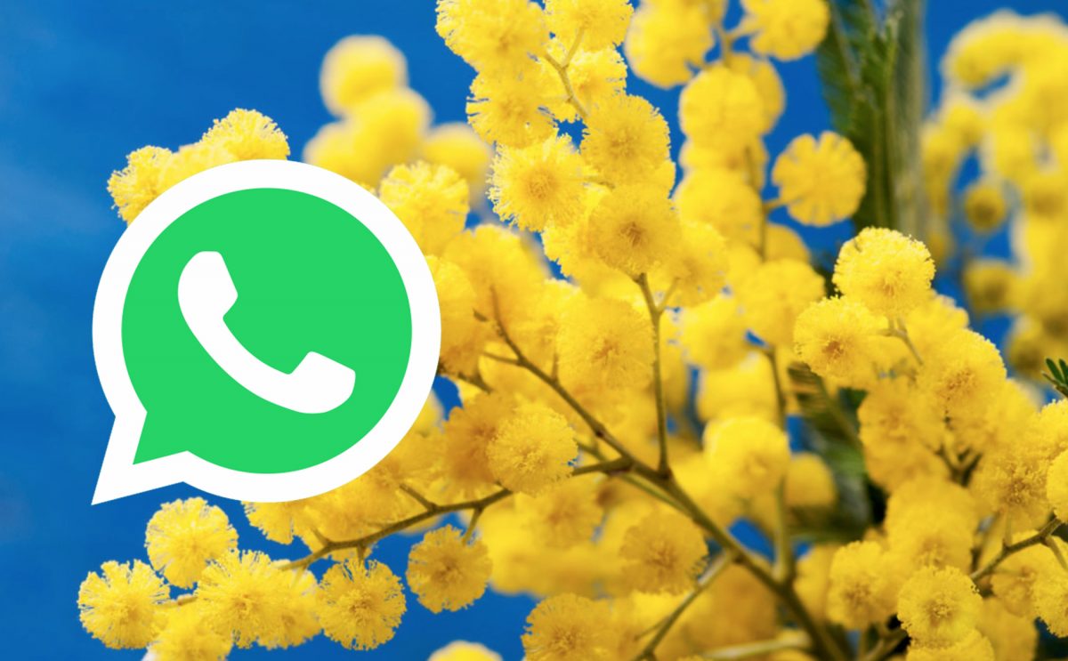 Festa della Donna 2022: le migliori GIF per Whatsapp