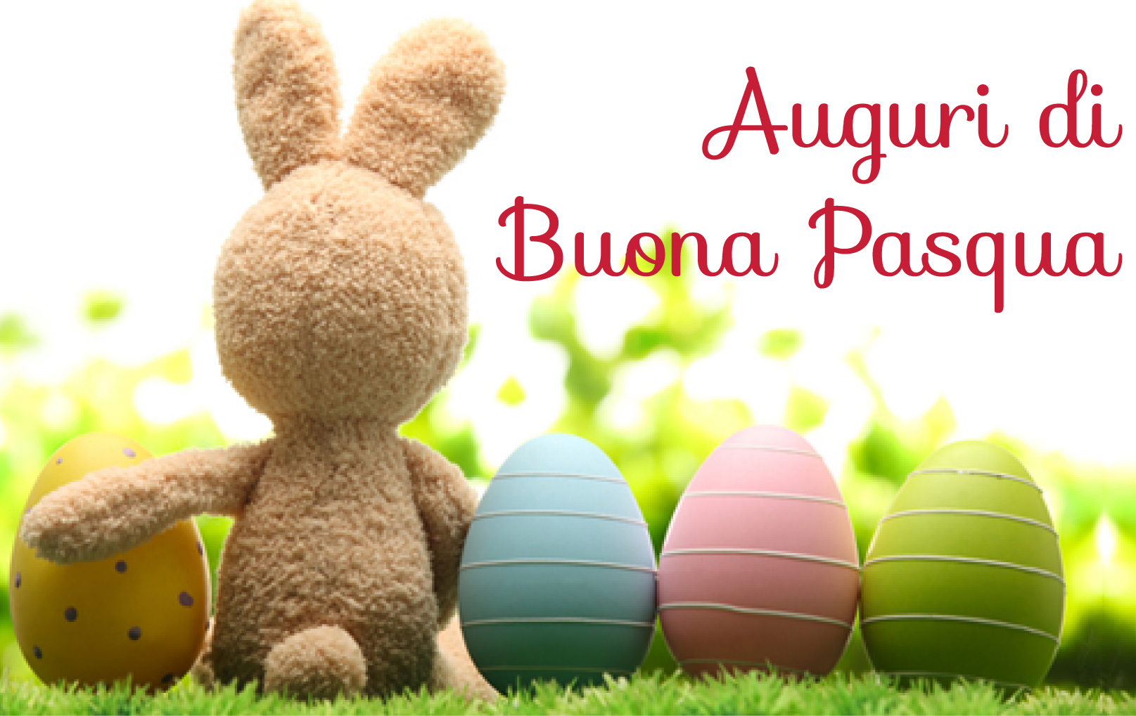 Immagini di Buona Pasqua 2021 le più belle per gli auguri su WhatsApp