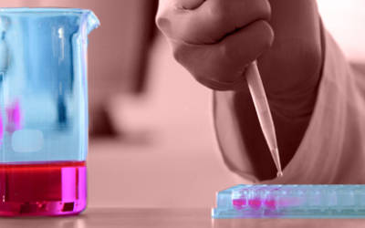 Innovazione ed efficienza: la nuova infrastruttura tecnologica di Villa Fulvia