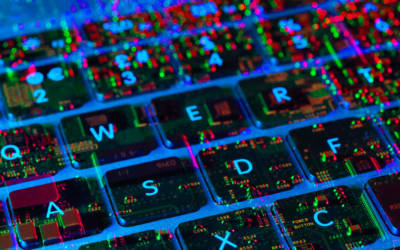 I lavori più richiesti entro il 2024, servono competenze digitali