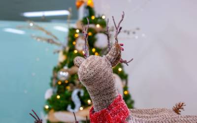 Quali saranno le regole per dicembre e Natale? Le prime indiscrezioni