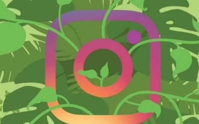 Social green, quando Instagram ti aiuta ad essere ecologico