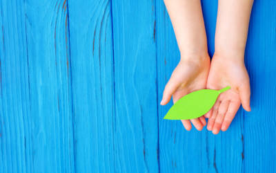 Giornata Mondiale dell’ambiente, World Environment Day, i dati