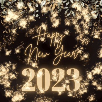 Ospiti - Pagina 5 Immagini-GIF-Buon-Anno-fuochi-dartificio