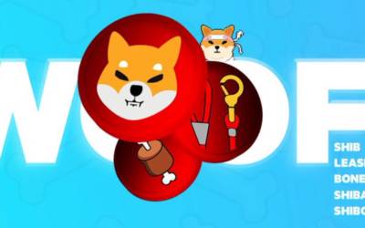 Shiba Inu pubblica misterioso video: quali novità in arrivo?