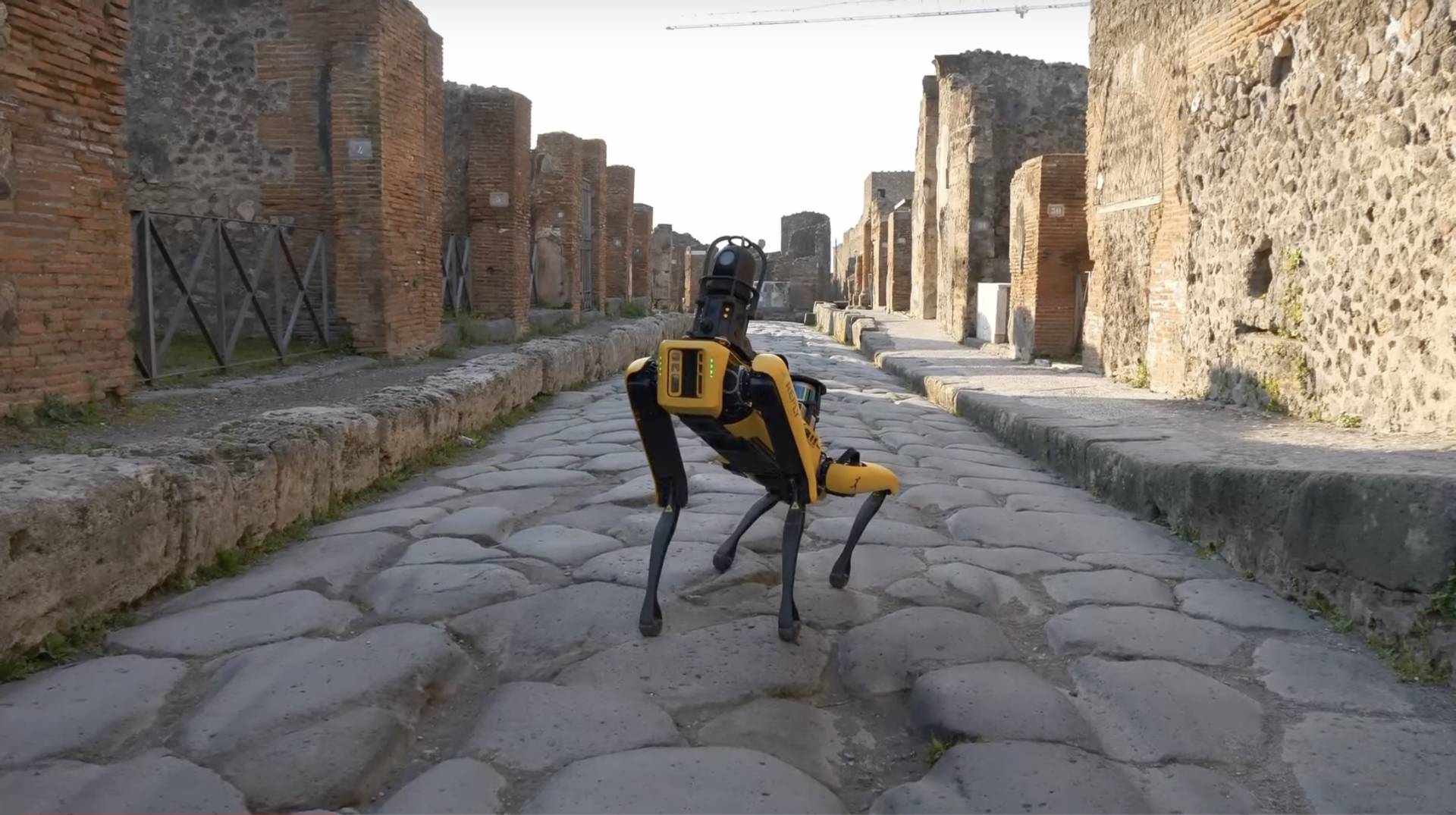 Pompei: un cane Robot fa la guardia al sito archeologico