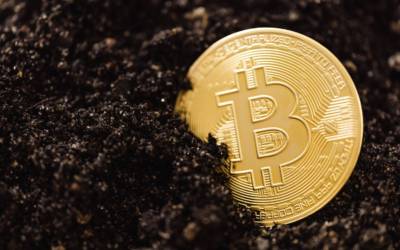 Criptovalute, nuove crollo: cosa sta succedendo