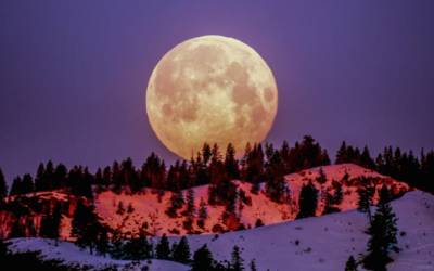 Superluna del Cervo, quando ci sarà la luna più luminosa dell’anno